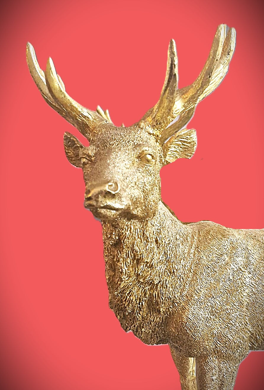 Hirsch